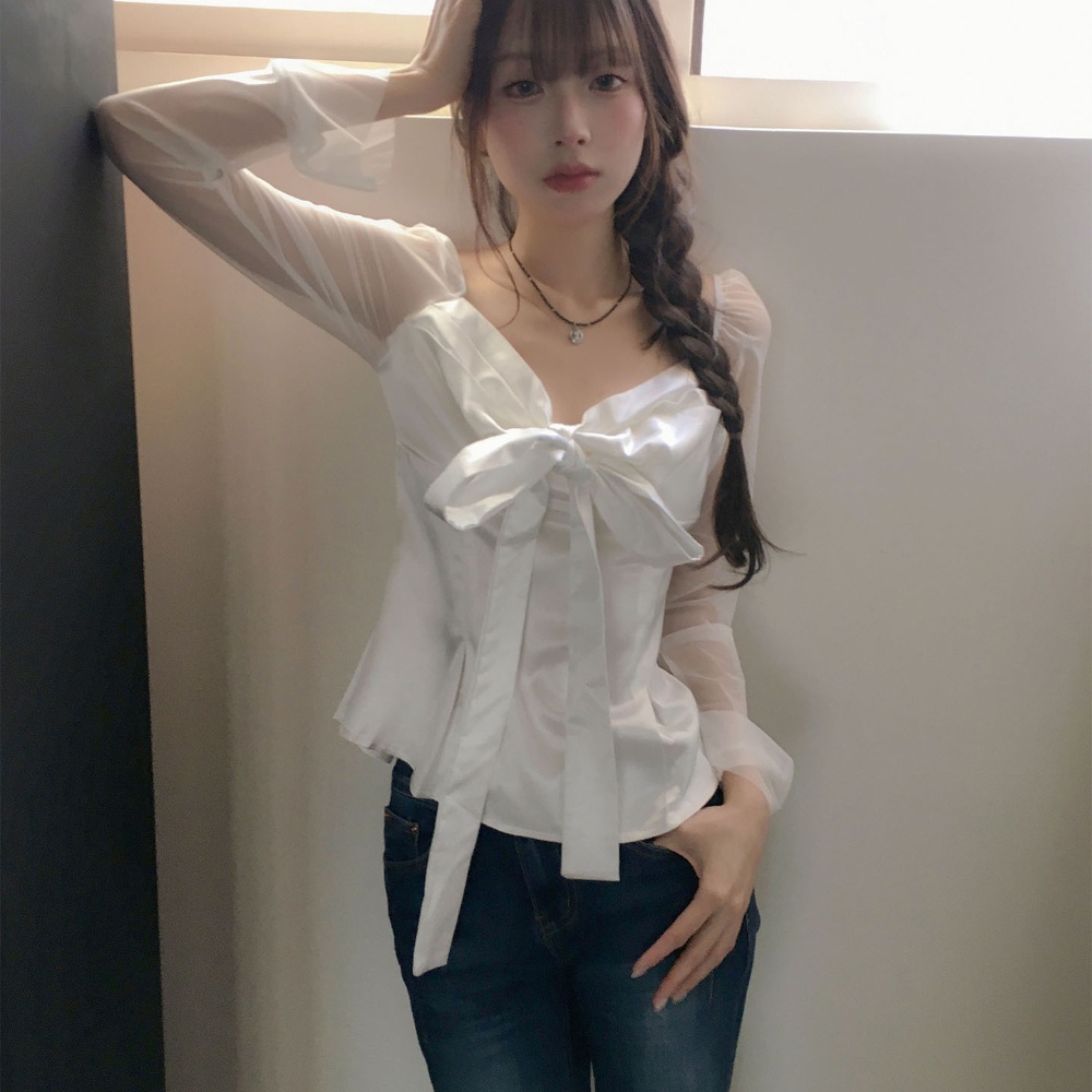 Elegante slanke blouse met lan - Satin Bow Tie recensie en prijs